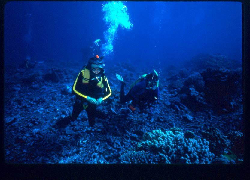 Deep diving in tropics