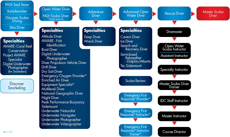 All PADI Courses Structure